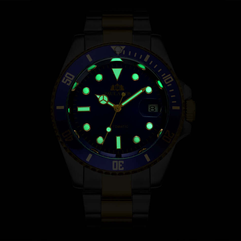 Fully Automatic Mechanical PAULAREIS Watch