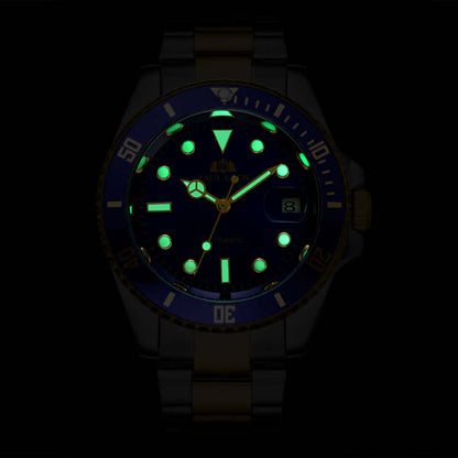 Fully Automatic Mechanical PAULAREIS Watch